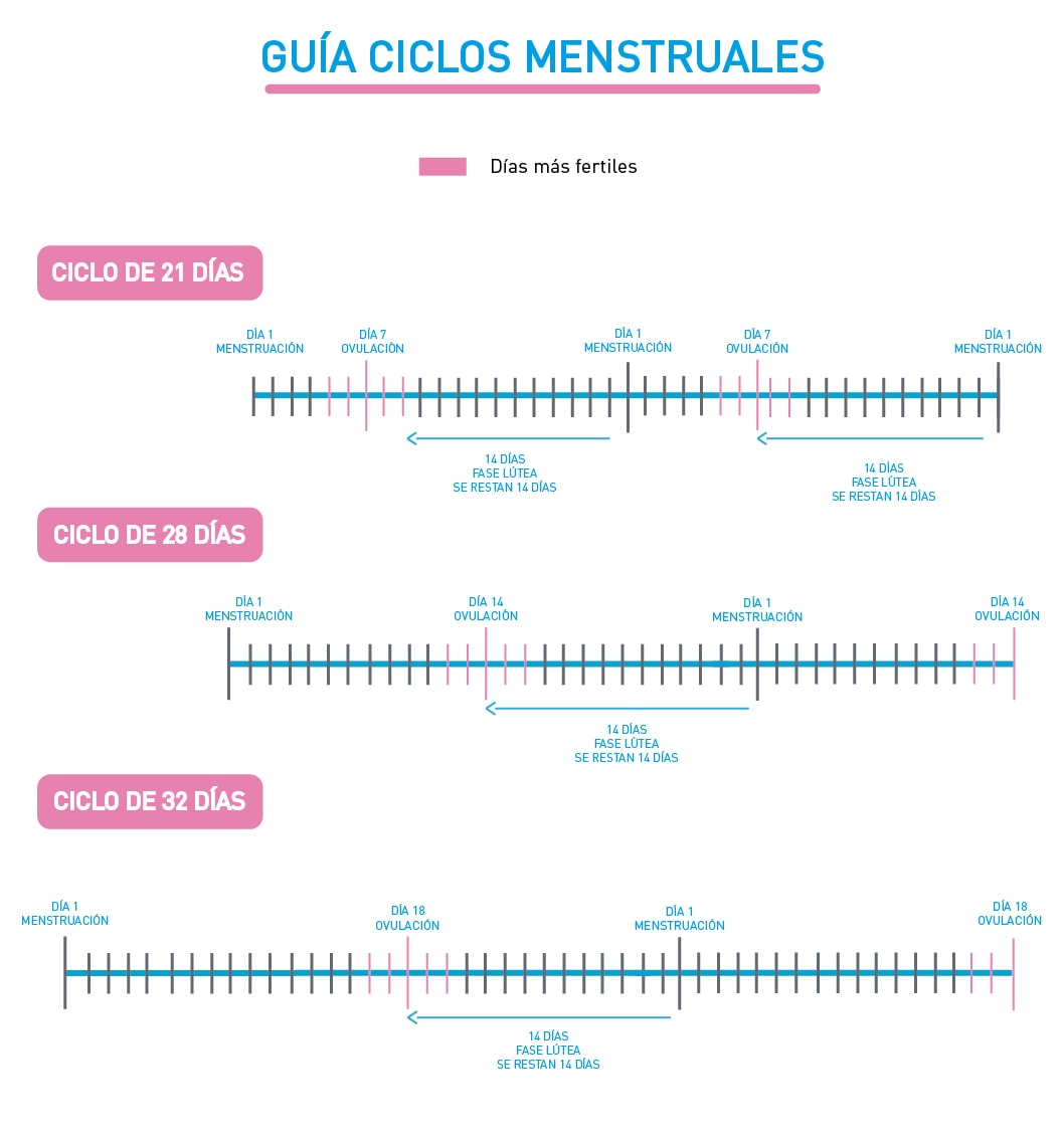 cada cuanto tiempo tiene su ciclo menstrual la mujer cada cuanto tiempo tiene su ciclo menstrual la mujer