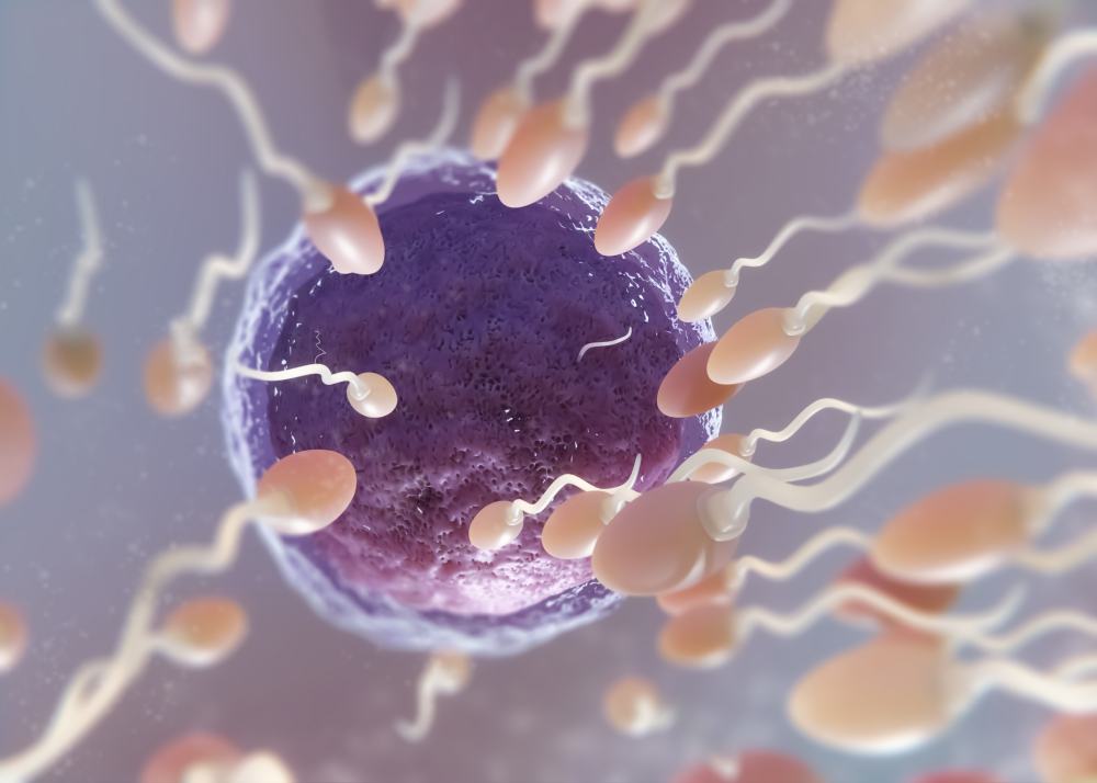 Procedimiento de inseminación intrauterina con acompañamiento médico