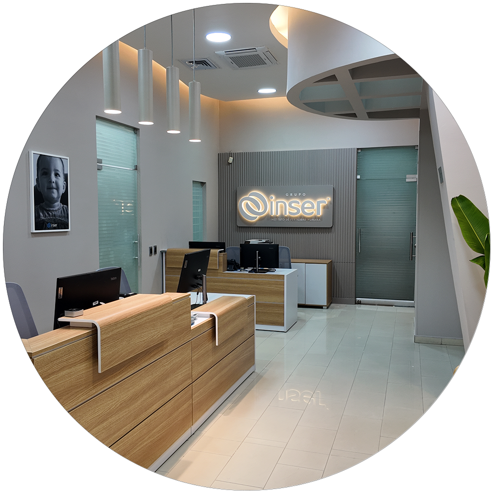 Inser Pereira oficina